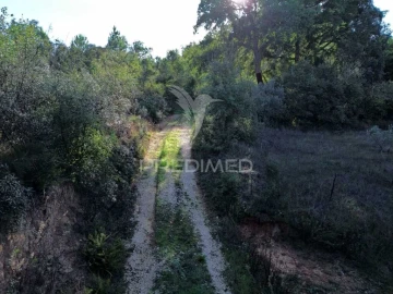Terreno para Venda em Arneiro das Milhariças