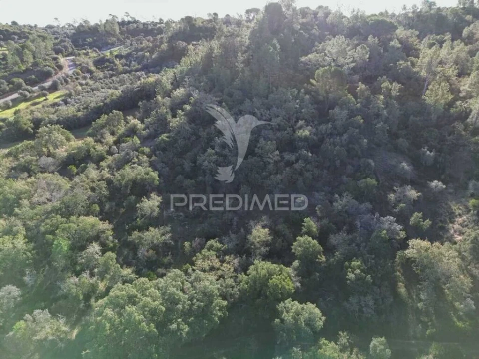 Terreno para Venda em Arneiro das Milhariças Foto 12
