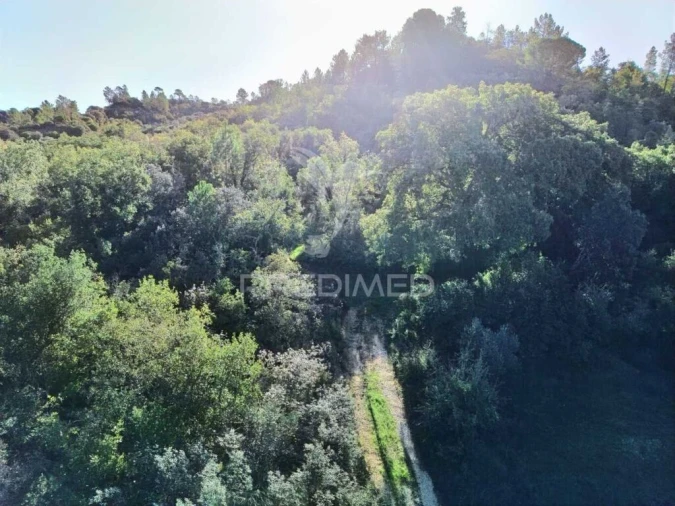 Terreno para Venda em Arneiro das Milhariças Foto 18