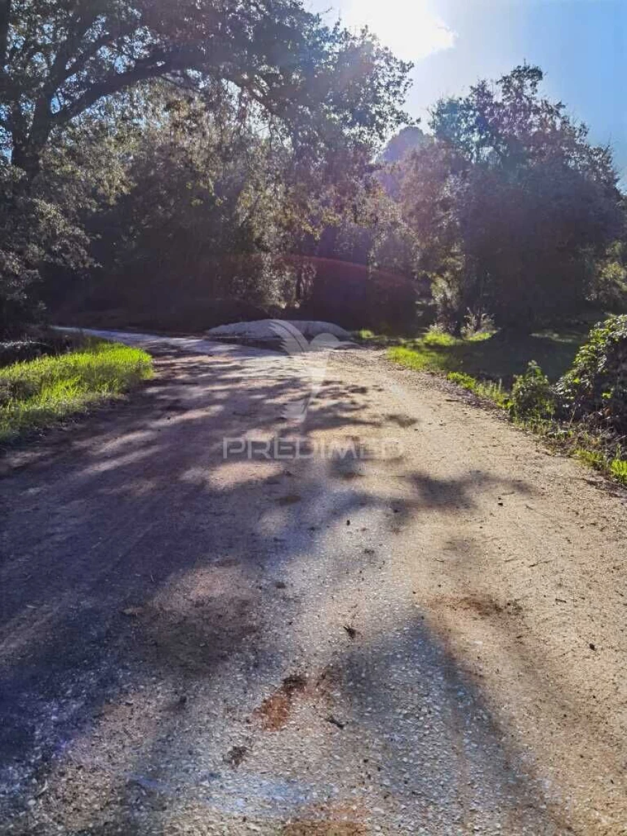 Terreno para Venda em Arneiro das Milhariças Foto 4