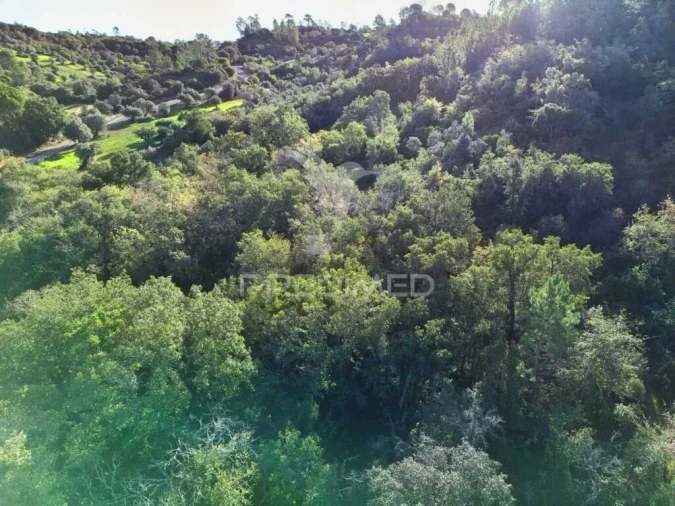 Terreno para Venda em Arneiro das Milhariças Foto 17