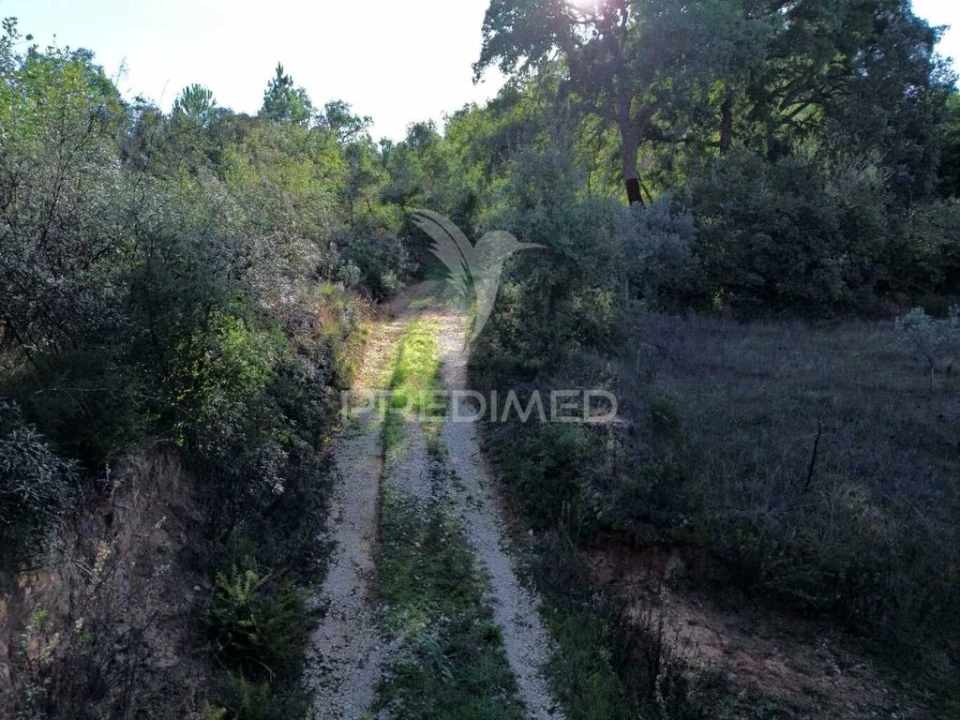 Terreno para Venda em Arneiro das Milhariças Foto 10