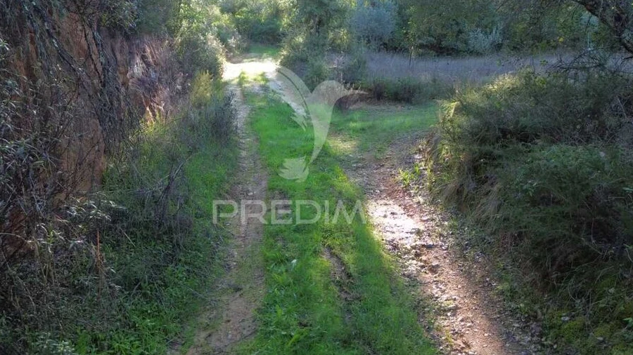 Terreno para Venda em Arneiro das Milhariças