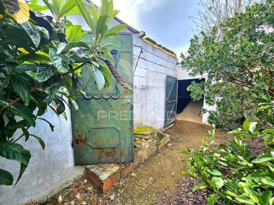 Terreno para Venda em Entradas Foto 6