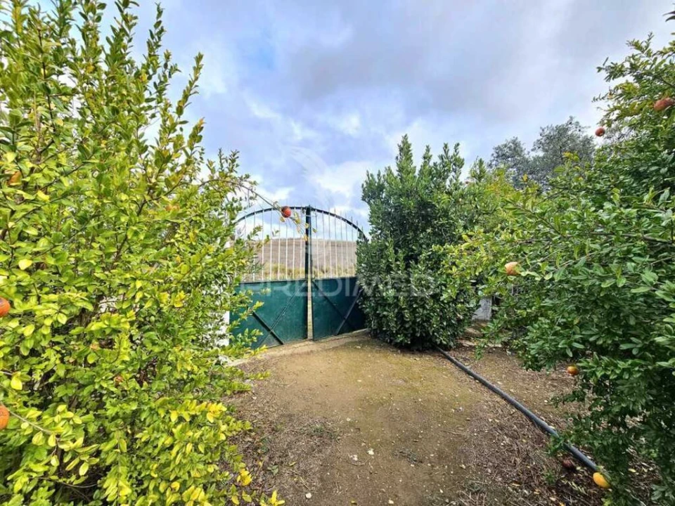 Terreno para Venda em Entradas Foto 1