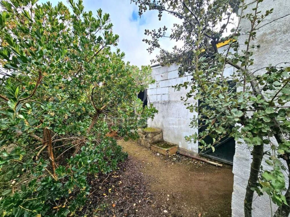 Terreno para Venda em Entradas Foto 9