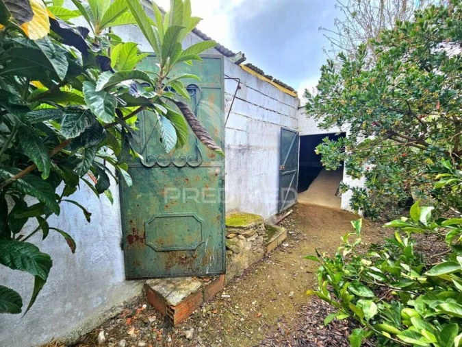 Terreno para Venda em Entradas Foto 6