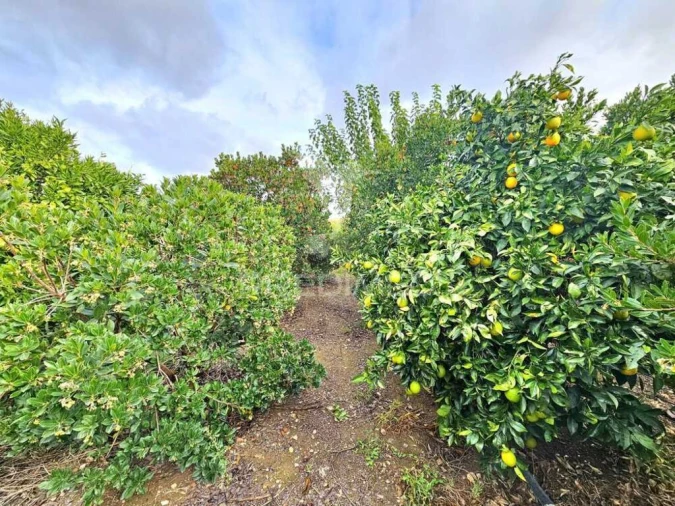 Terreno para Venda em Entradas Foto 2