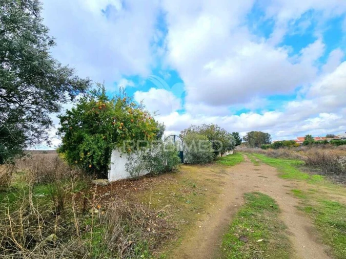 Terreno para Venda em Entradas Foto 12