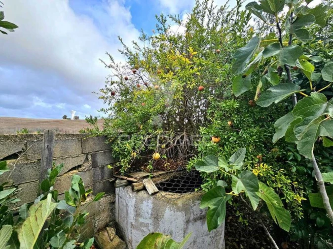 Terreno para Venda em Entradas Foto 5