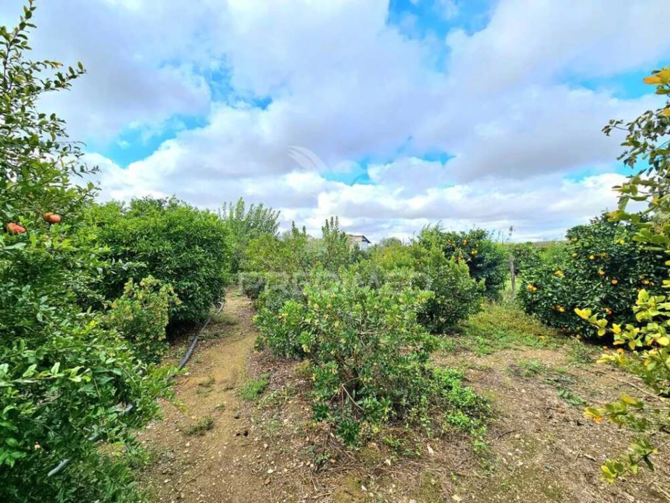 Terreno para Venda em Entradas Foto 13