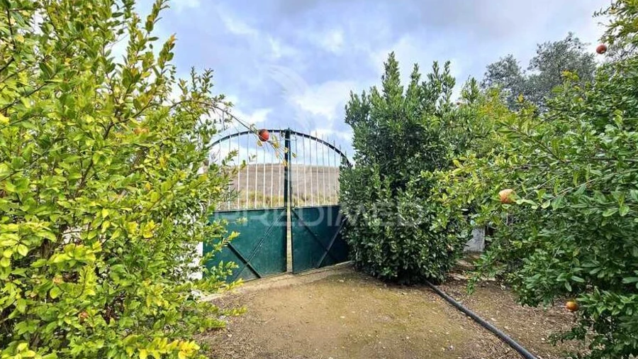 Terreno para Venda em Entradas