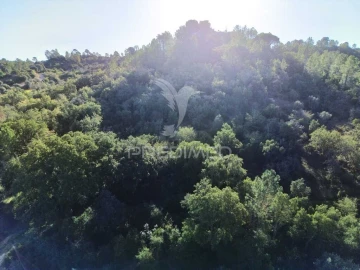 Terreno para Venda em Arneiro das Milhariças