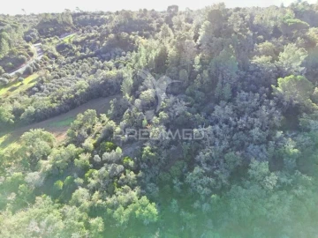 Terreno para Venda em Arneiro das Milhariças