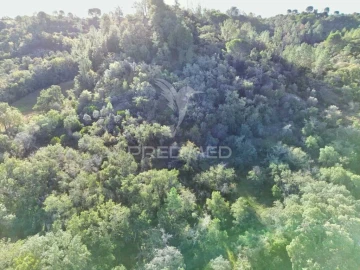 Terreno para Venda em Arneiro das Milhariças