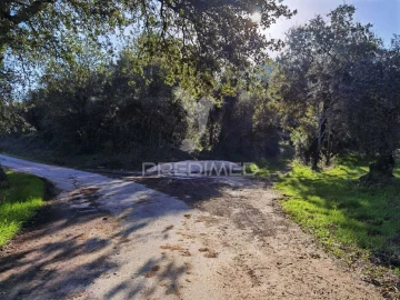 Terreno para Venda em Arneiro das Milhariças