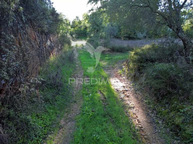 Terreno para Venda em Arneiro das Milhariças Foto 10