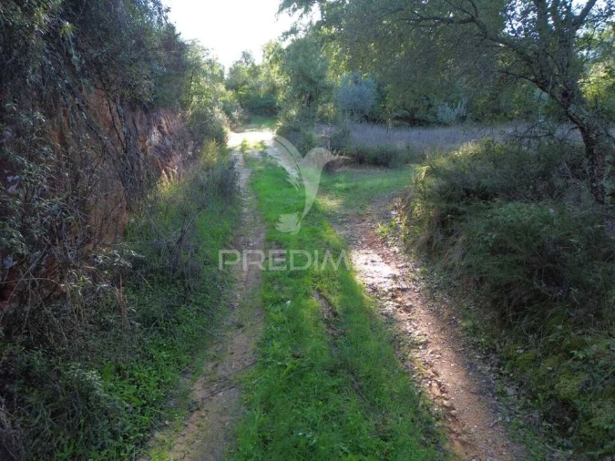 Terreno para Venda em Arneiro das Milhariças Foto 2