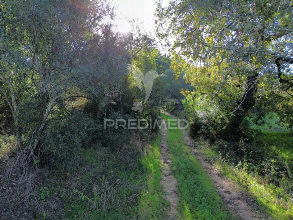 Terreno para Venda em Arneiro das Milhariças Foto 7