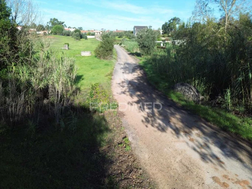 Terreno para Venda em Arneiro das Milhariças Foto 4