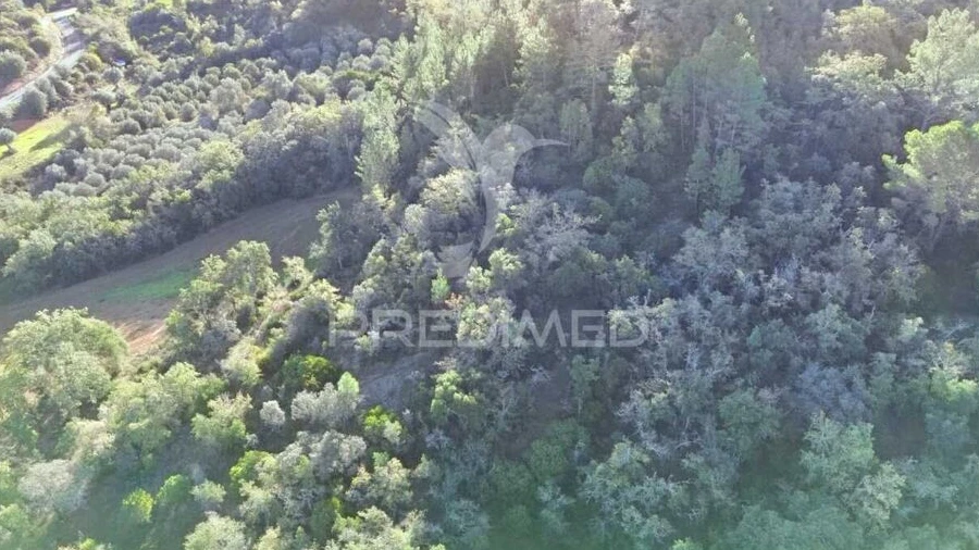 Terreno para Venda em Arneiro das Milhariças