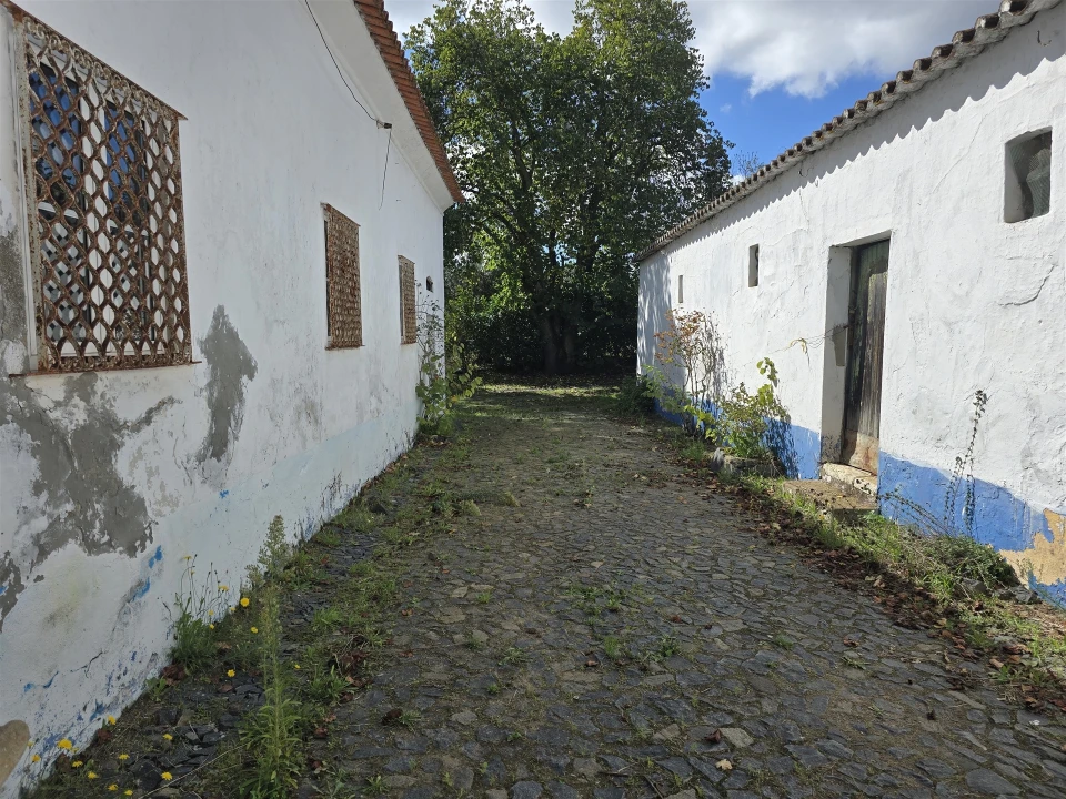 Terreno para Venda em Beja (Santiago Maior e São João Baptista) Foto 55