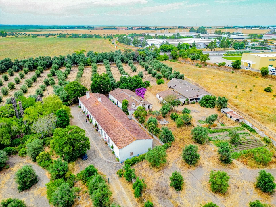 Terreno para Venda em Beja (Santiago Maior e São João Baptista) Foto 12