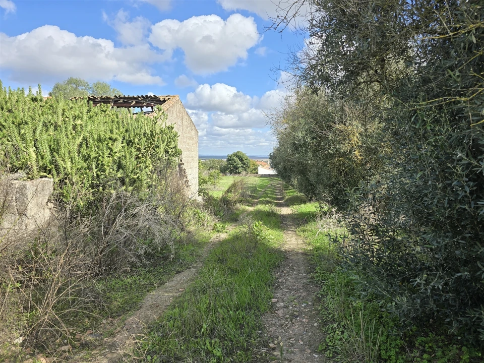 Terreno para Venda em Beja (Santiago Maior e São João Baptista) Foto 40