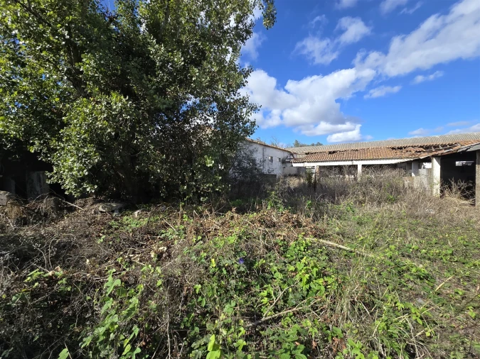 Terreno para Venda em Beja (Santiago Maior e São João Baptista) Foto 26