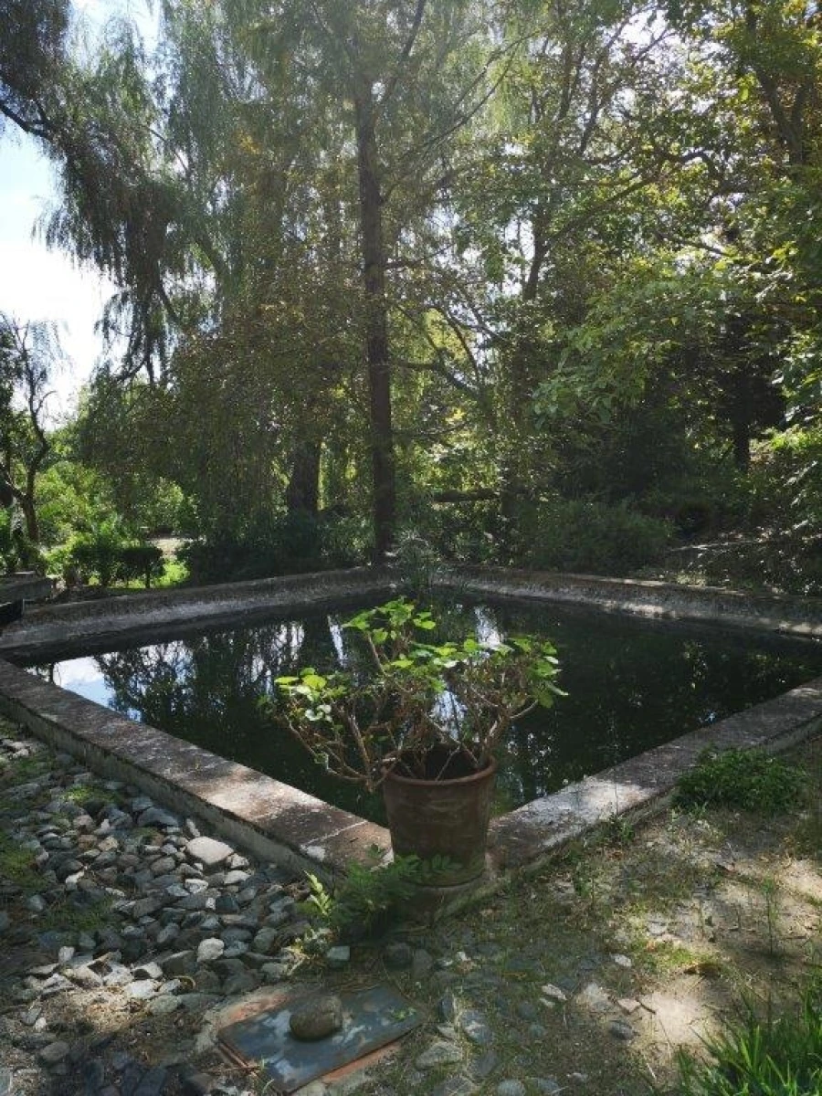 Terreno para Venda em Beja (Santiago Maior e São João Baptista) Foto 95