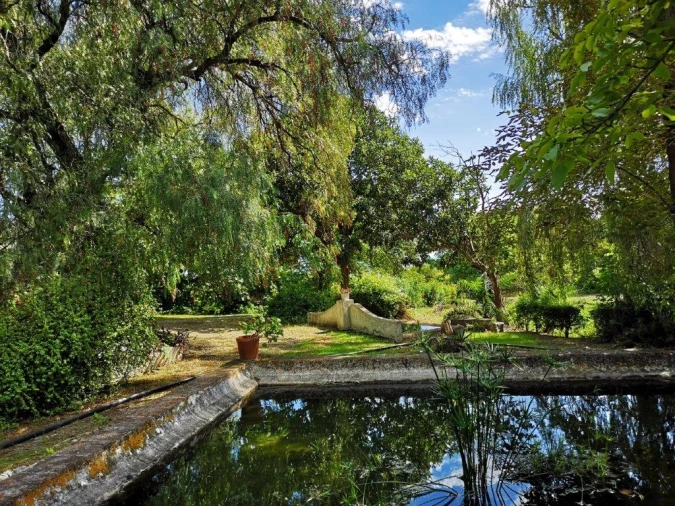 Terreno para Venda em Beja (Santiago Maior e São João Baptista) Foto 28