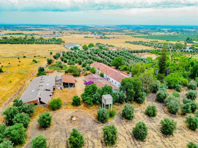 Terreno para Venda em Beja (Santiago Maior e São João Baptista) Foto 6
