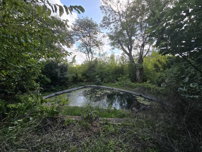 Terreno para Venda em Beja (Santiago Maior e São João Baptista) Foto 45