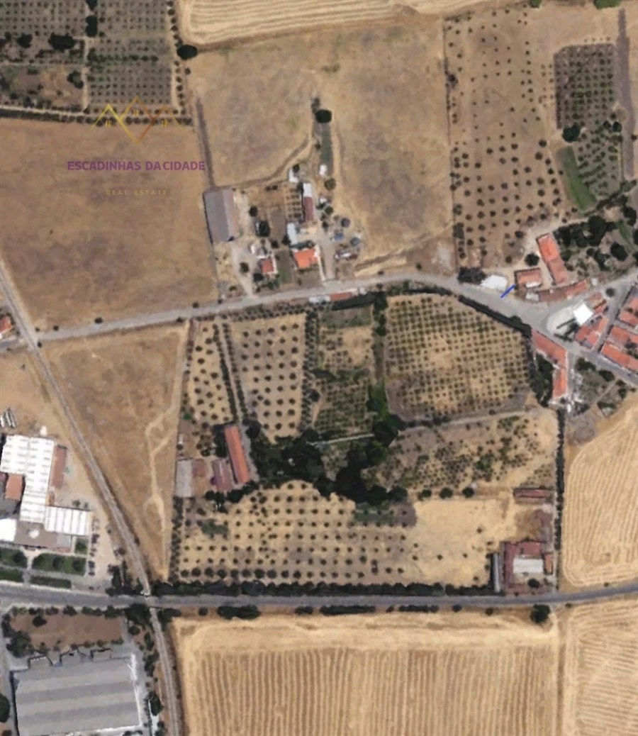 Terreno para Venda em Beja (Santiago Maior e São João Baptista) Foto 16