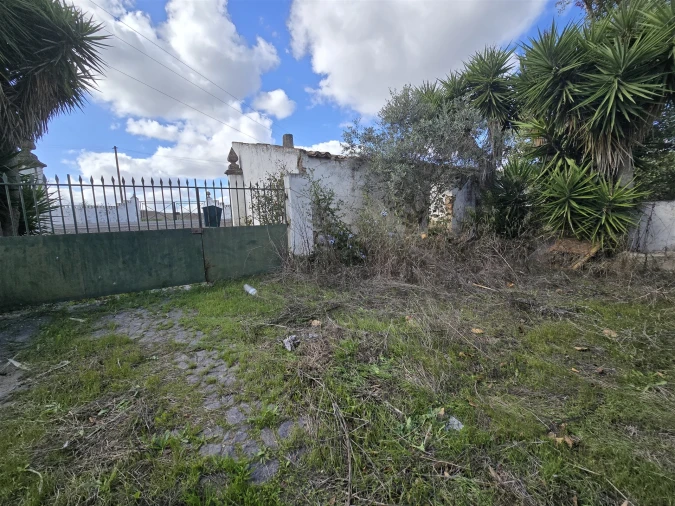 Terreno para Venda em Beja (Santiago Maior e São João Baptista) Foto 43