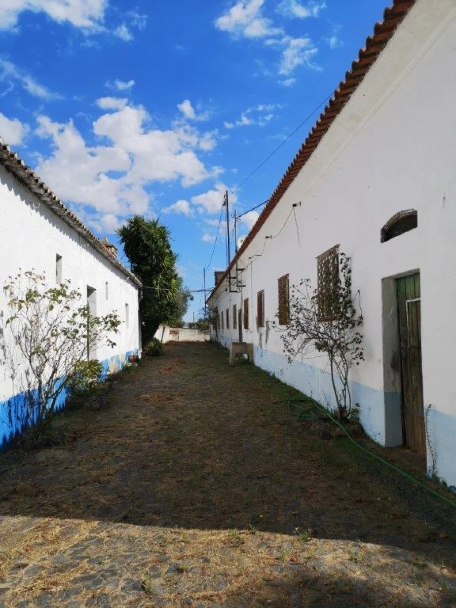 Terreno para Venda em Beja (Santiago Maior e São João Baptista) Foto 91