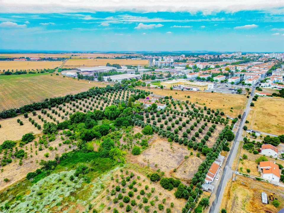 Terreno para Venda em Beja (Santiago Maior e São João Baptista) Foto 4