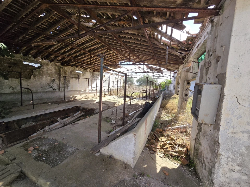 Terreno para Venda em Beja (Santiago Maior e São João Baptista) Foto 32