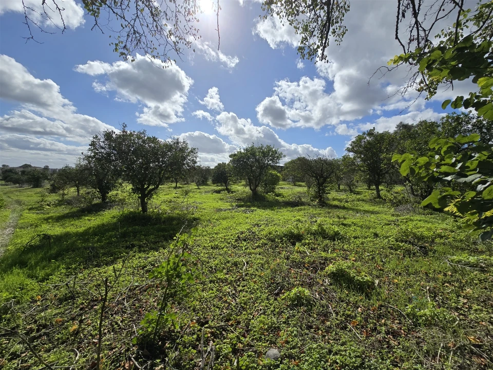 Terreno para Venda em Beja (Santiago Maior e São João Baptista) Foto 17