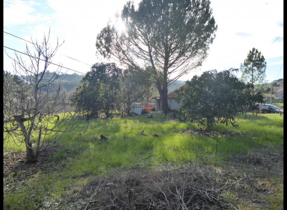 Terreno Misto para Venda em Alburitel Foto 5