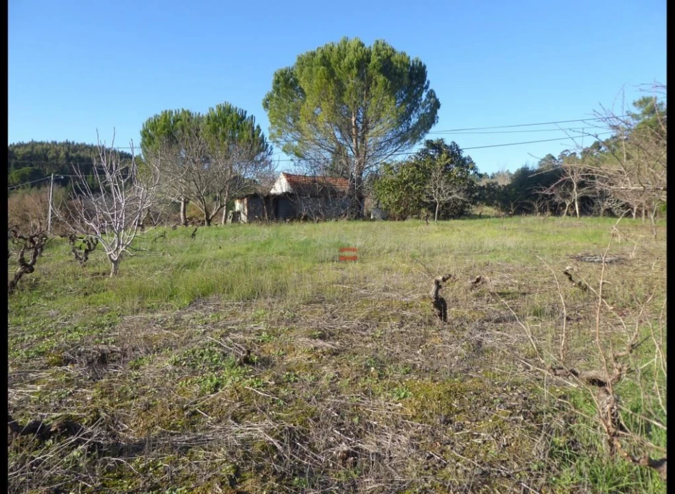 Terreno Misto para Venda em Alburitel Foto 6