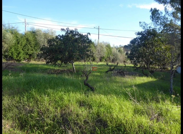Terreno Misto para Venda em Alburitel Foto 4