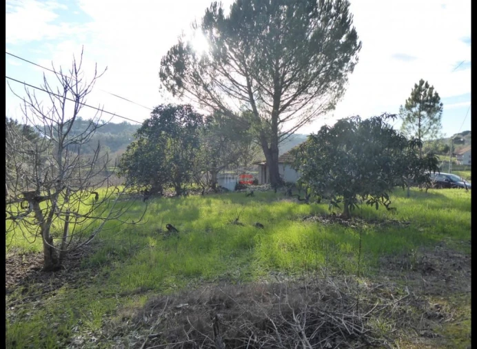 Terreno Misto para Venda em Alburitel Foto 5