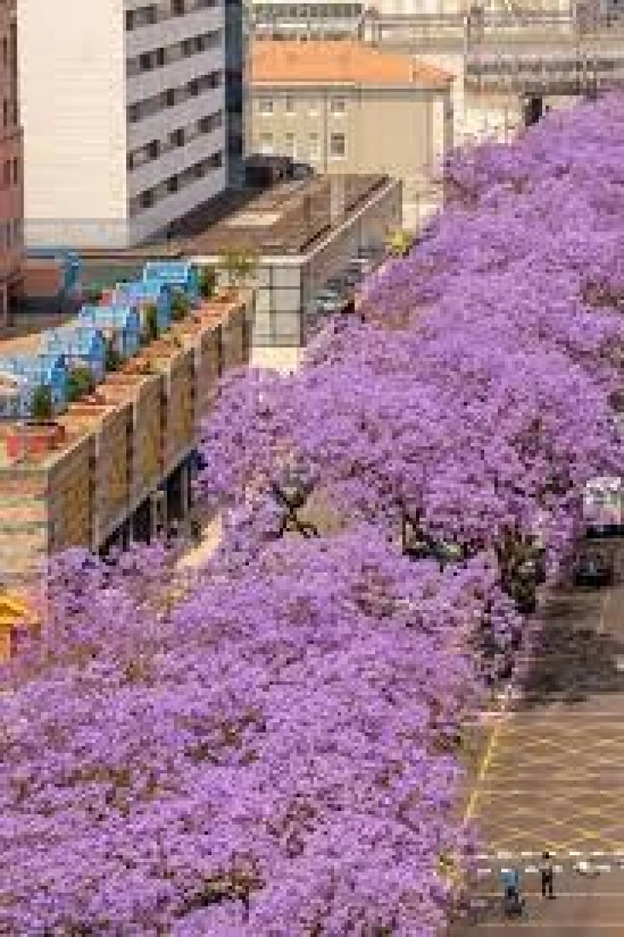 Escritório para Arrendamento em Avenidas Novas Foto 2