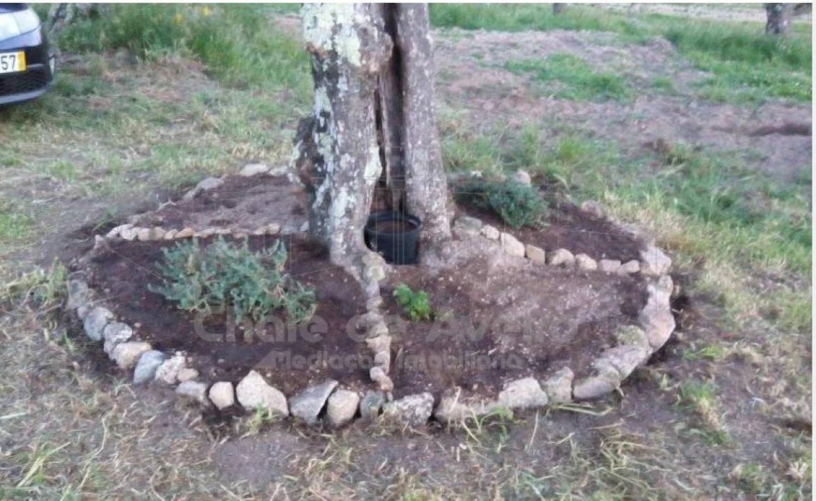 Quinta para Venda em Arez e Amieira do Tejo Foto 5