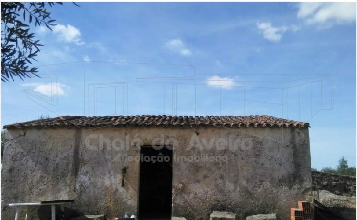 Quinta para Venda em Arez e Amieira do Tejo Foto 6