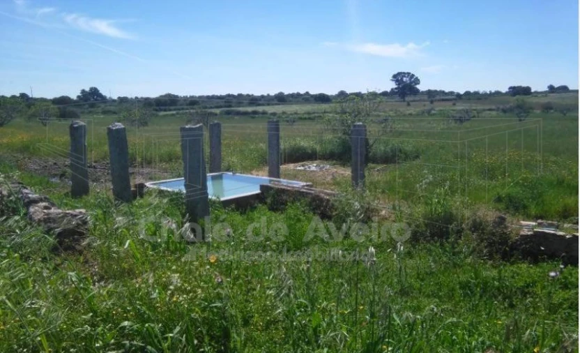 Quinta para Venda em Arez e Amieira do Tejo Foto 3