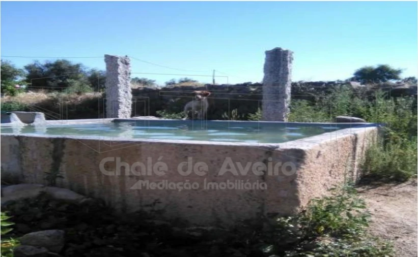 Quinta para Venda em Arez e Amieira do Tejo Foto 2