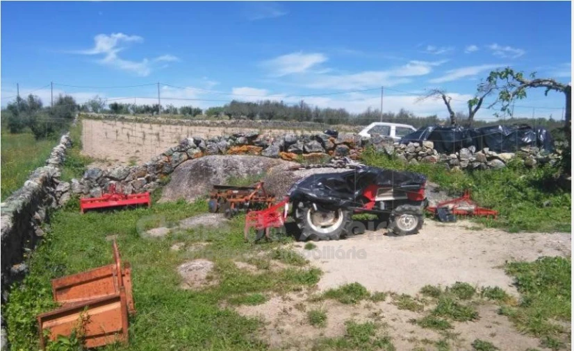 Quinta para Venda em Arez e Amieira do Tejo Foto 9