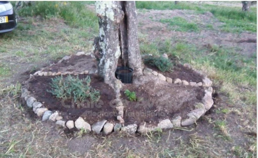 Quinta para Venda em Arez e Amieira do Tejo Foto 5